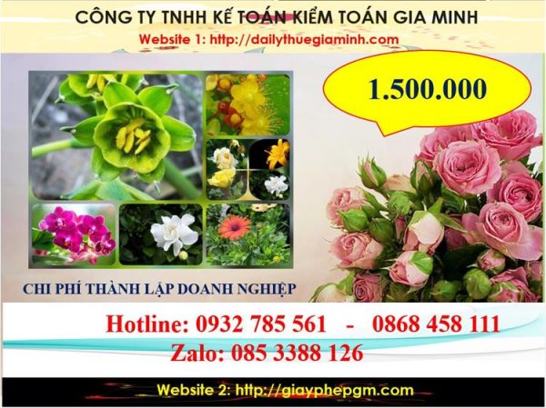 Chi phí thành lập công ty trách nhiệm hữu hạn tại thị xã Tân Uyên