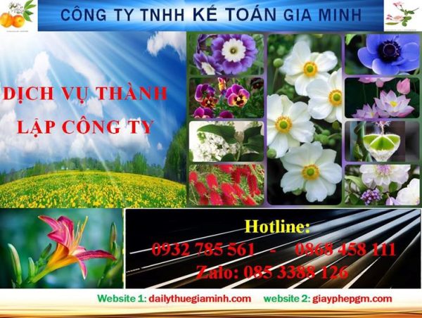 Thủ tục thành lập công ty trách nhiệm hữu hạn tại thị xã Tân Uyên