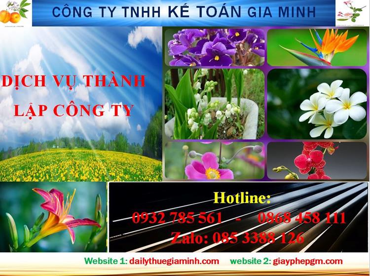 Thủ tục thành lập công ty trách nhiệm hữu hạn tại thị xã Thuận An