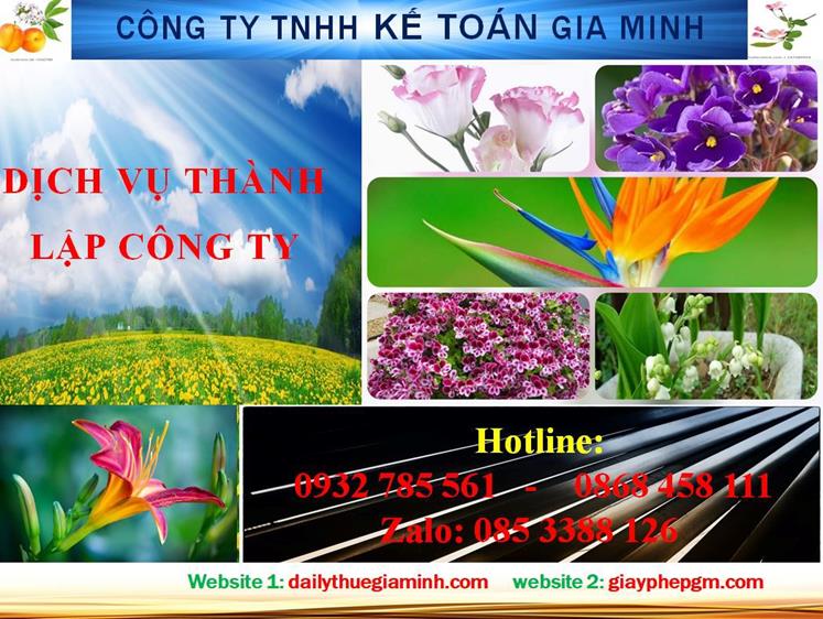 Dịch vụ thành lập công ty trách nhiệm hữu hạn tại thành phố Hồ Chí Minh 4 Thủ tục thành lập công ty trách nhiệm hữu hạn tại thành phố Hồ Chí Minh