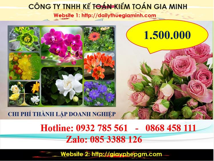 Dịch vụ thành lập công ty trách nhiệm hữu hạn tại Tuyên Quang 5 Chi phí thành lập công ty trách nhiệm hữu hạn tại Tuyên Quang