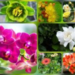 Dịch vụ thành lập công ty trách nhiệm hữu hạn tại Tuyên Quang 6 Thành lập công ty trách nhiệm hữu hạn tại Tuyên Quang