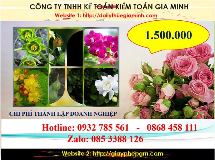 Dịch vụ thành lập công ty trách nhiệm hữu hạn tại Vĩnh Phúc 5 Chi phí thành lập công ty trách nhiệm hữu hạn tại Vĩnh Phúc
