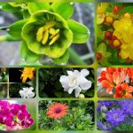 Dịch vụ thành lập công ty trách nhiệm hữu hạn tại Vĩnh Phúc 6 Thành lập công ty trách nhiệm hữu hạn tại Vĩnh Phúc