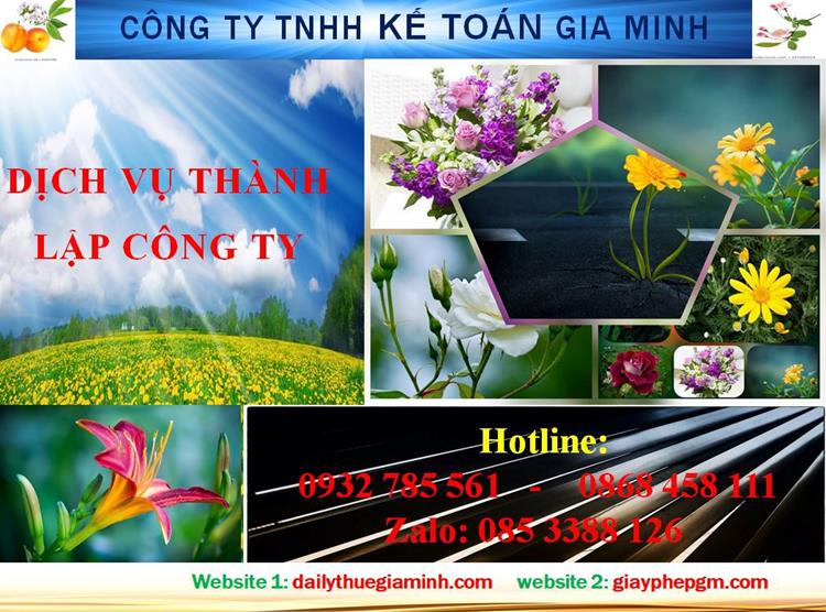 Dịch vụ thành lập công ty trách nhiệm hữu hạn tại Vĩnh Phúc 4 Thủ tục thành lập công ty trách nhiệm hữu hạn tại Vĩnh Phúc