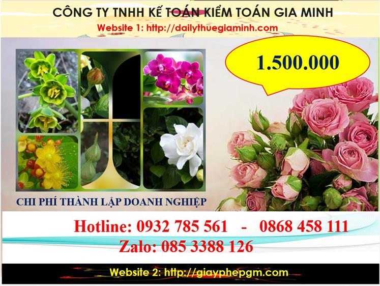 Dịch vụ thành lập công ty trách nhiệm hữu hạn tại Vũng Tàu 5 Chi phí thành lập công ty trách nhiệm hữu hạn tại Vũng Tàu