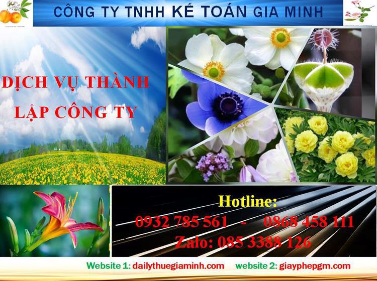 Dịch vụ thành lập công ty trách nhiệm hữu hạn tại Vũng Tàu 4 Thủ tục thành lập công ty trách nhiệm hữu hạn tại Vũng Tàu