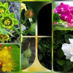 Dịch vụ thành lập công ty trách nhiệm hữu hạn tại Yên Bái 6 Thành lập công ty trách nhiệm hữu hạn tại Yên Bái