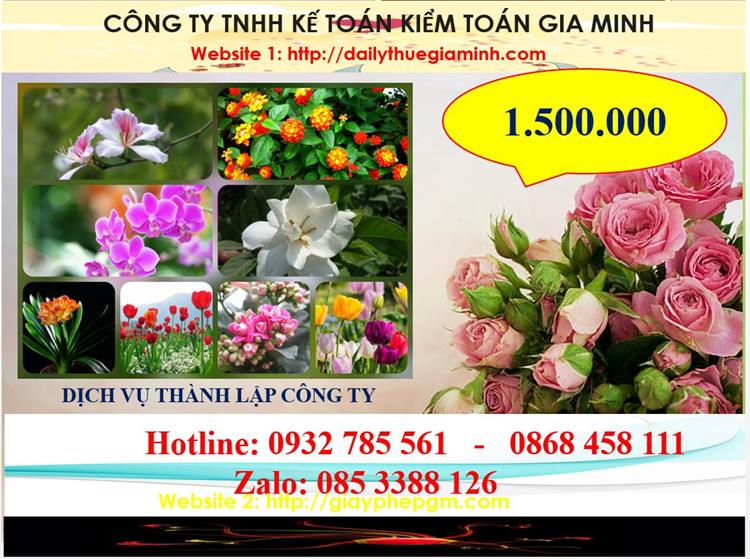 Dịch vụ thành lập công ty trách nhiệm hữu hạn tại Yên Bái 5 Chi phí thành lập công ty trách nhiệm hữu hạn tại Yên Bái