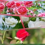 Dịch vụ thành lập địa điểm kinh doanh tại An Giang