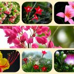 Dịch vụ tư vấn thành lập địa điểm kinh doanh tại Bắc Giang 6 Dịch vụ tư vấn thành lập địa điểm kinh doanh tại Bắc Giang
