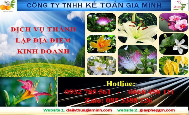 Dịch vụ tư vấn thành lập địa điểm kinh doanh tại Bắc Kạn – Hỗ trợ trọn gói, nhanh chóng 4 Thủ tục thành lập địa điểm kinh doanh tại Bắc Cạn
