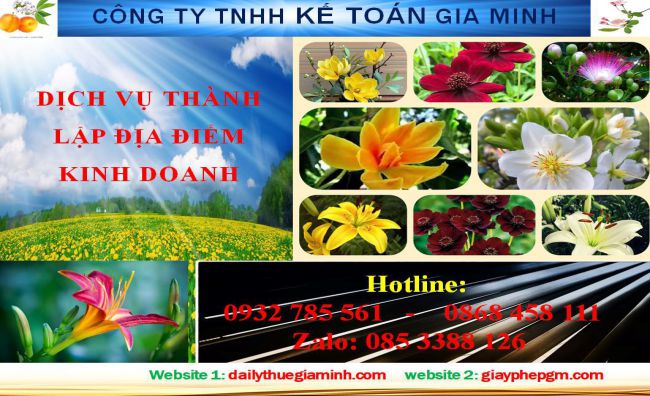 Dịch vụ tư vấn thành lập địa điểm kinh doanh tại Đồng Tháp 4 Thủ tục thành lập địa điểm kinh doanh tại Đồng Tháp