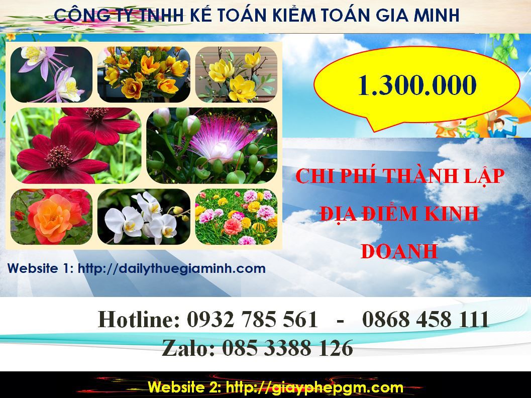 Dịch vụ tư vấn thành lập địa điểm kinh doanh tại Đồng Tháp 5 Chi phí tư vấn thành lập địa điểm kinh doanh tại Đồng Tháp