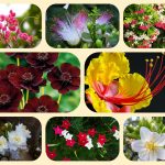 Dịch vụ tư vấn thành lập địa điểm kinh doanh tại Đồng Tháp 6 Dịch vụ tư vấn thành lập địa điểm kinh doanh tại Đồng Tháp