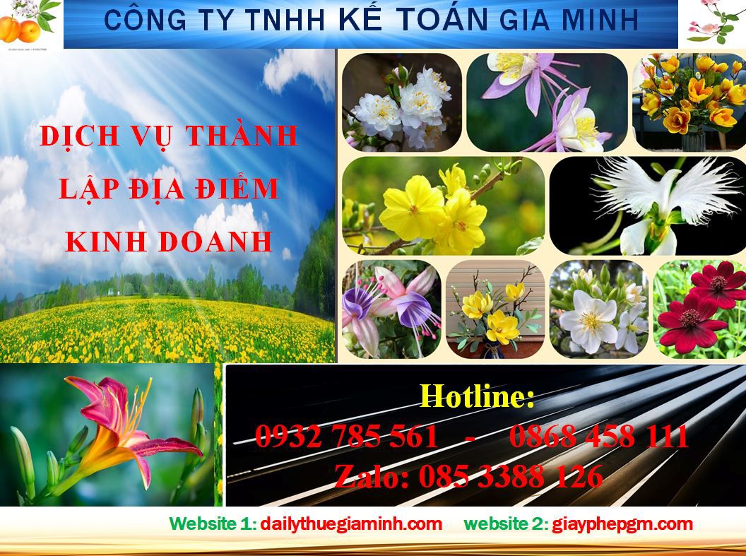 Dịch vụ tư vấn thành lập địa điểm kinh doanh tại Hải Phòng 4 Thủ tục thành lập địa điểm kinh doanh tại Hải Phòng