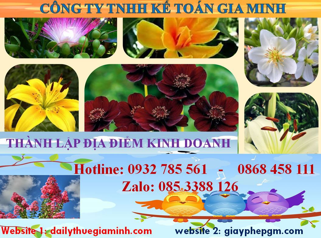 Thủ tục thành lập địa điểm kinh doanh tại Huyện Bắc Tân Uyên