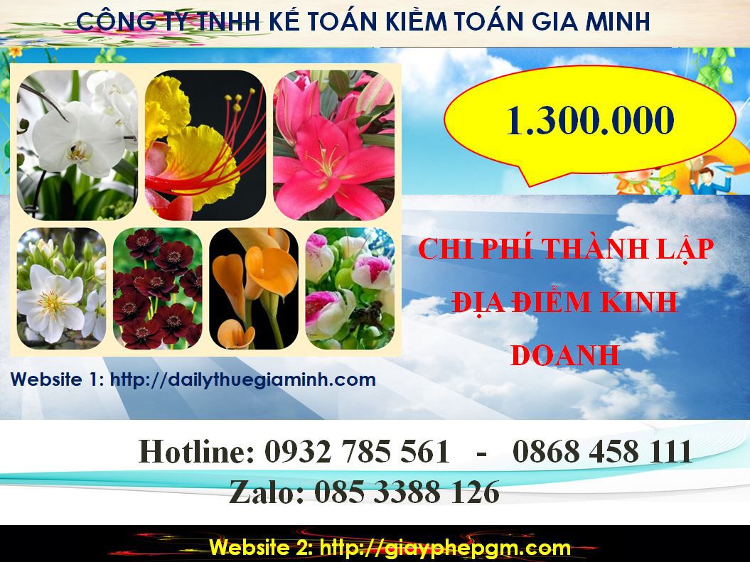 Chi phí tư vấn thành lập địa điểm kinh doanh tại Huyện Bầu Bàng