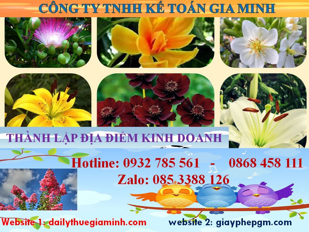 Thủ tục thành lập địa điểm kinh doanh tại Huyện Bầu Bàng