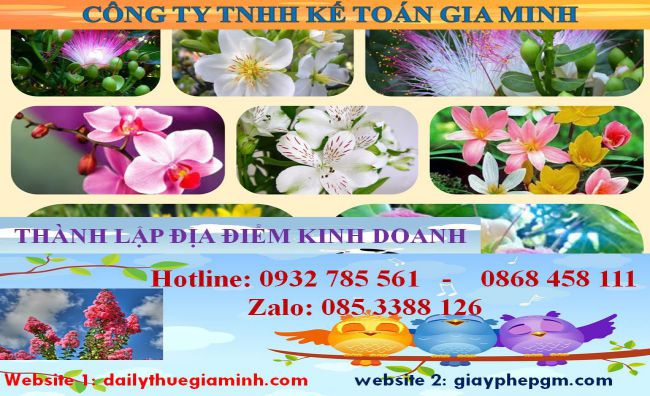 Thủ tục thành lập địa điểm kinh doanh tại Huyện Phú Giáo