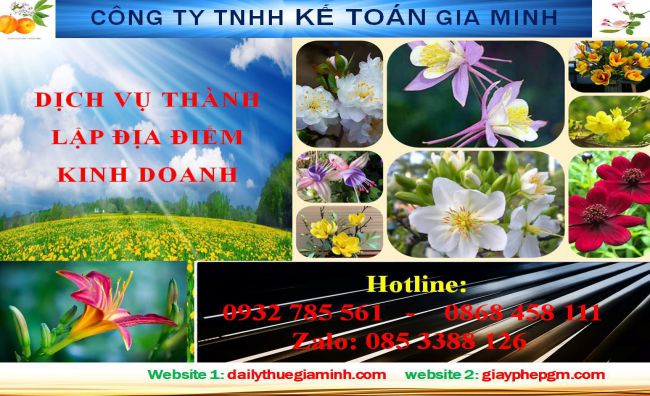 Dịch vụ tư vấn thành lập địa điểm kinh doanh tại Phú Thọ 3 Thủ tục thành lập địa điểm kinh doanh tại Phú Thọ