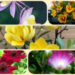 Dịch vụ tư vấn thành lập địa điểm kinh doanh tại Quận 11 6 Dịch vụ tư vấn thành lập địa điểm kinh doanh tại Quận 11