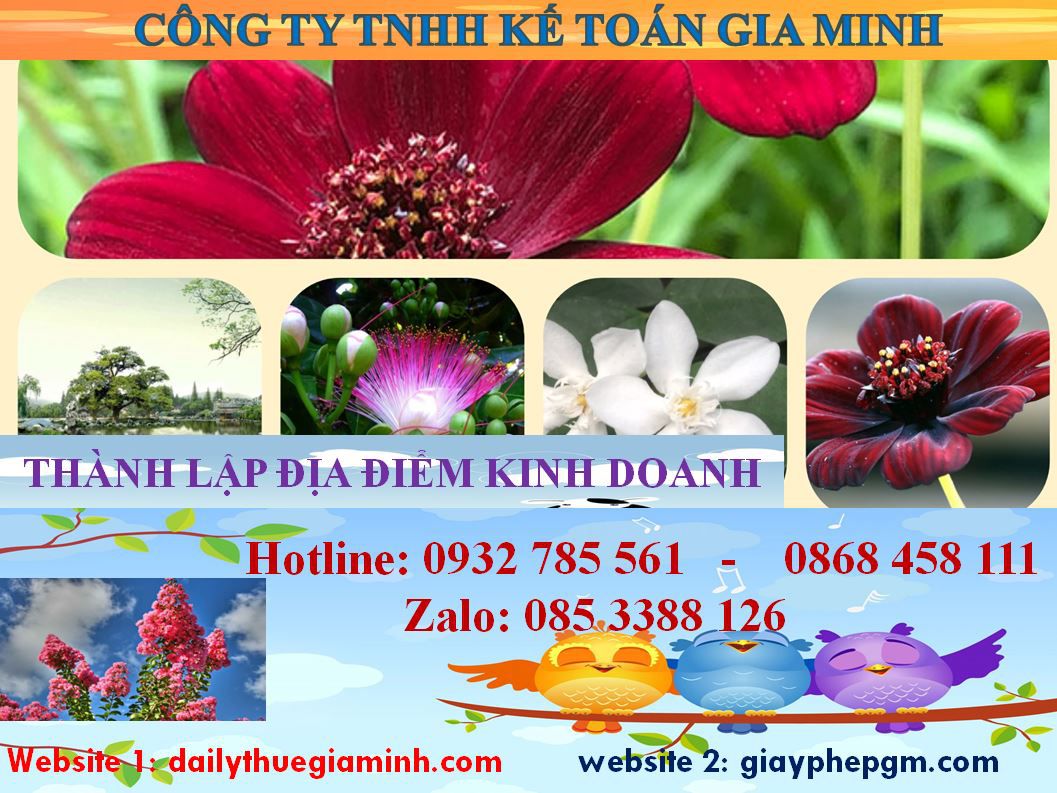 Dịch vụ tư vấn thành lập địa điểm kinh doanh tại Quận 11 4 Thủ tục thành lập địa điểm kinh doanh tại Quận 11