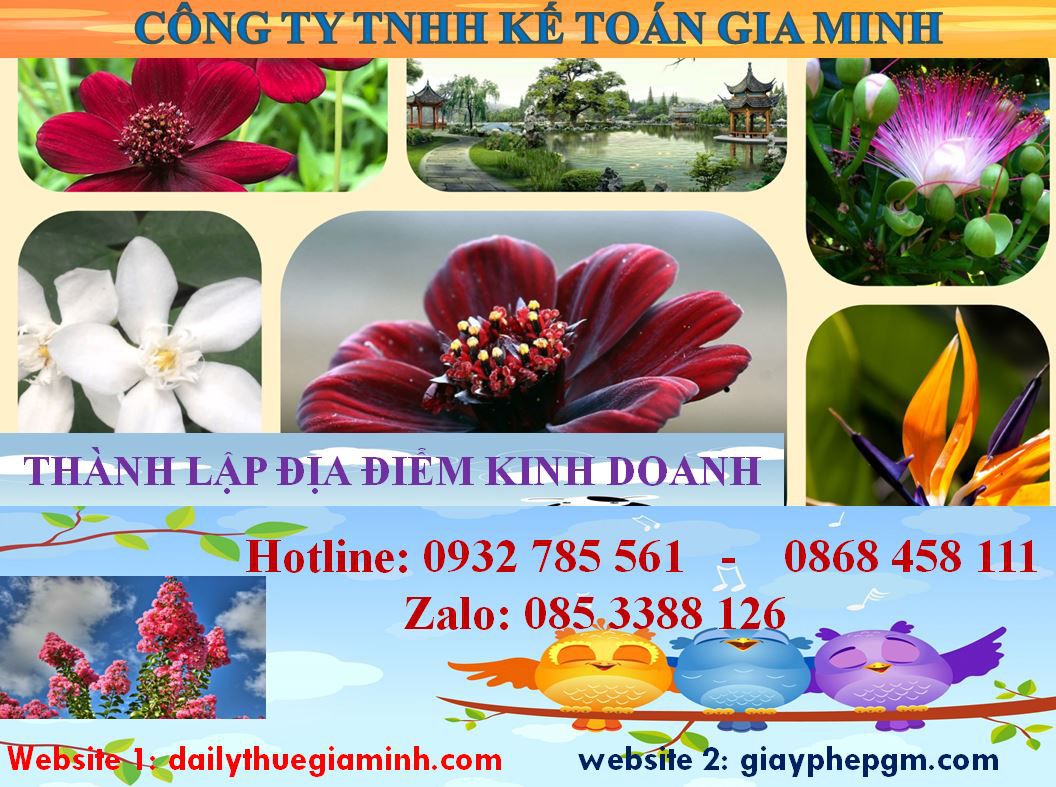 Dịch vụ tư vấn thành lập địa điểm kinh doanh tại Quận 12 5 Chi phí tư vấn thành lập địa điểm kinh doanh tại Quận 12