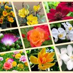 Dịch vụ tư vấn thành lập địa điểm kinh doanh tại Quận 12 6 Dịch vụ tư vấn thành lập địa điểm kinh doanh tại Quận 12