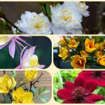 Dịch vụ tư vấn thành lập địa điểm kinh doanh tại Quận 8 6 Dịch vụ tư vấn thành lập địa điểm kinh doanh tại Quận 8