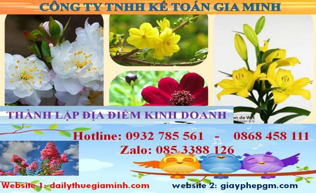 Dịch vụ tư vấn thành lập địa điểm kinh doanh tại Quận 8 4 Thủ tục thành lập địa điểm kinh doanh tại Quận 8