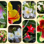 Dịch vụ tư vấn thành lập địa điểm kinh doanh tại Quảng Bình 6 Dịch vụ tư vấn thành lập địa điểm kinh doanh tại Quảng Bình