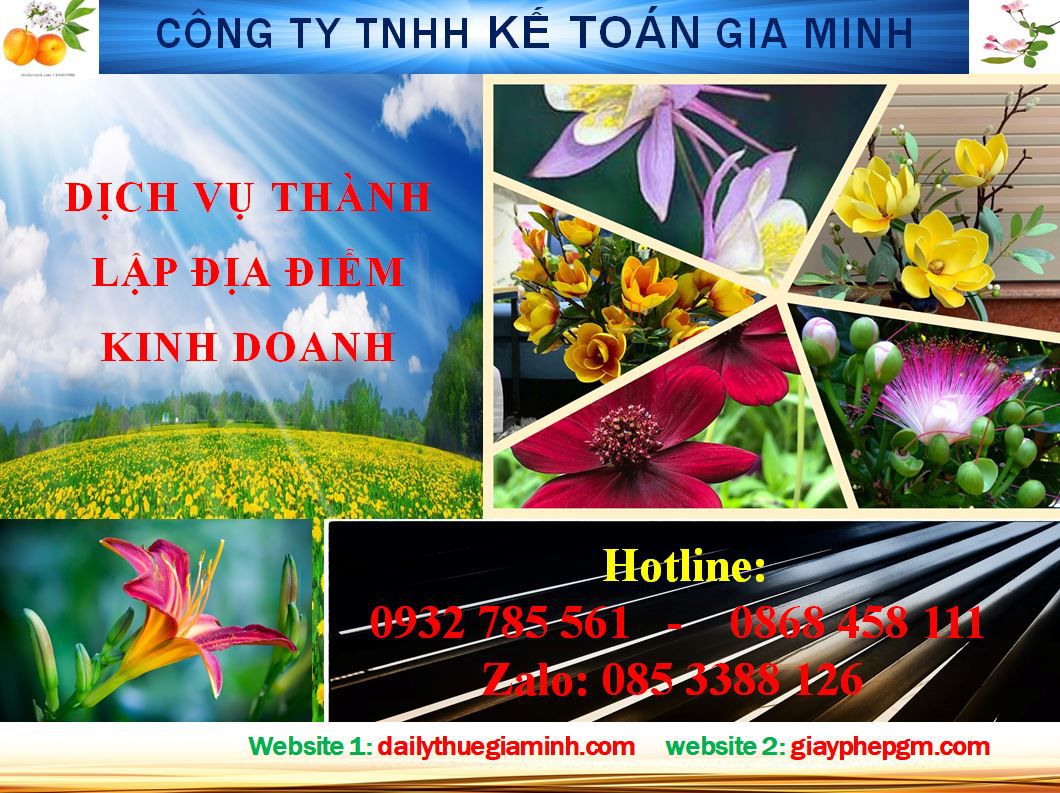 Dịch vụ tư vấn thành lập địa điểm kinh doanh tại Quảng Bình 4 Thủ tục thành lập địa điểm kinh doanh tại Quảng Bình