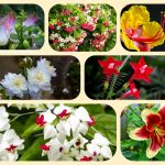 Dịch vụ tư vấn thành lập địa điểm kinh doanh tại Quảng Ninh 6 Dịch vụ tư vấn thành lập địa điểm kinh doanh tại Quảng Ninh