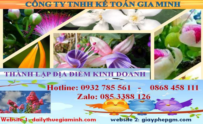 Thủ tục thành lập địa điểm kinh doanh tại Thị Xã Bến Cát
