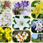 Dịch vụ thành lập doanh nghiệp tại Ninh Bình 6 Muốn thành lập doanh nghiệp tại Ninh Bình