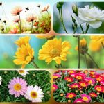 Dịch vụ thành lập doanh nghiệp trọn gói tại Đà Nẵng 6 Cần thành lập doanh nghiệp trọn gói tại Đà Nẵng