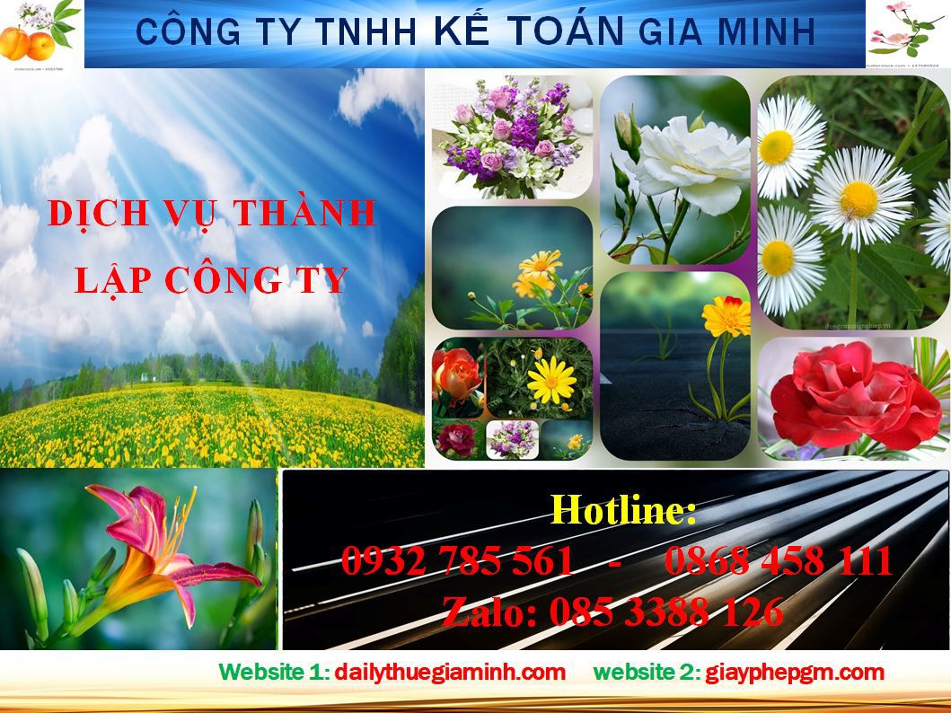 Dịch vụ thành lập doanh nghiệp trọn gói tại Đà Nẵng 4 Thủ tục thành lập doanh nghiệp trọn gói tại Đà Nẵng