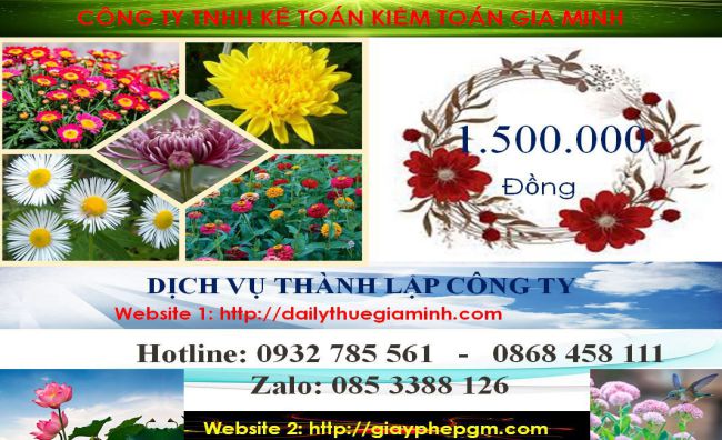 Dịch vụ thành lập doanh nghiệp trọn gói tại Đồng Tháp 5 Chi phí thành lập doanh nghiệp trọn gói tại Đồng Tháp