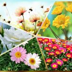 Dịch vụ thành lập doanh nghiệp trọn gói tại Đồng Tháp 6 Cần thành lập doanh nghiệp trọn gói tại Đồng Tháp