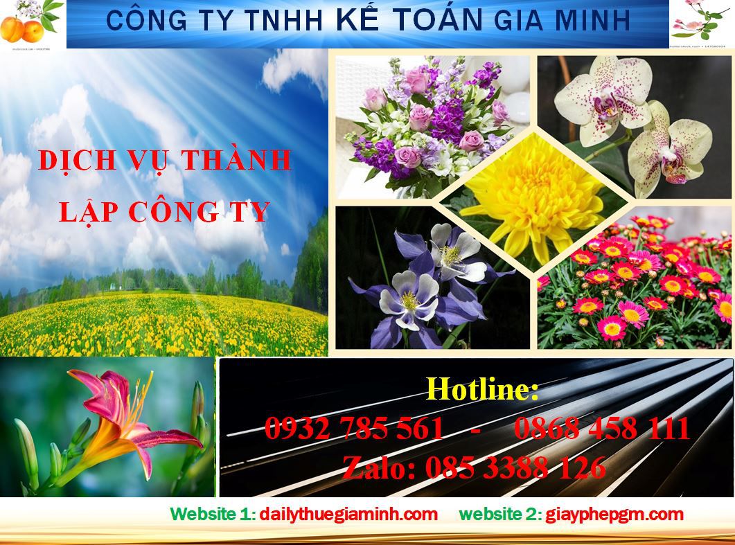 Dịch vụ thành lập doanh nghiệp trọn gói tại Đồng Tháp 4 Thủ tục thành lập doanh nghiệp trọn gói tại Đồng Tháp