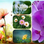 Dịch vụ thành lập doanh nghiệp trọn gói tại Hà Giang 6 Cần thành lập doanh nghiệp trọn gói tại Hà Giang