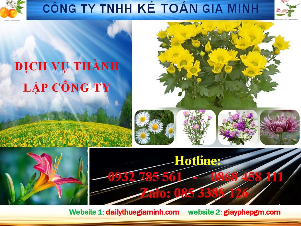 Dịch vụ thành lập doanh nghiệp trọn gói tại Hà Giang 4 Thủ tục thành lập doanh nghiệp trọn gói tại Hà Giang