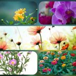 Dịch vụ thành lập doanh nghiệp trọn gói tại Hải Phòng 6 Cần thành lập doanh nghiệp trọn gói tại Hải Phòng
