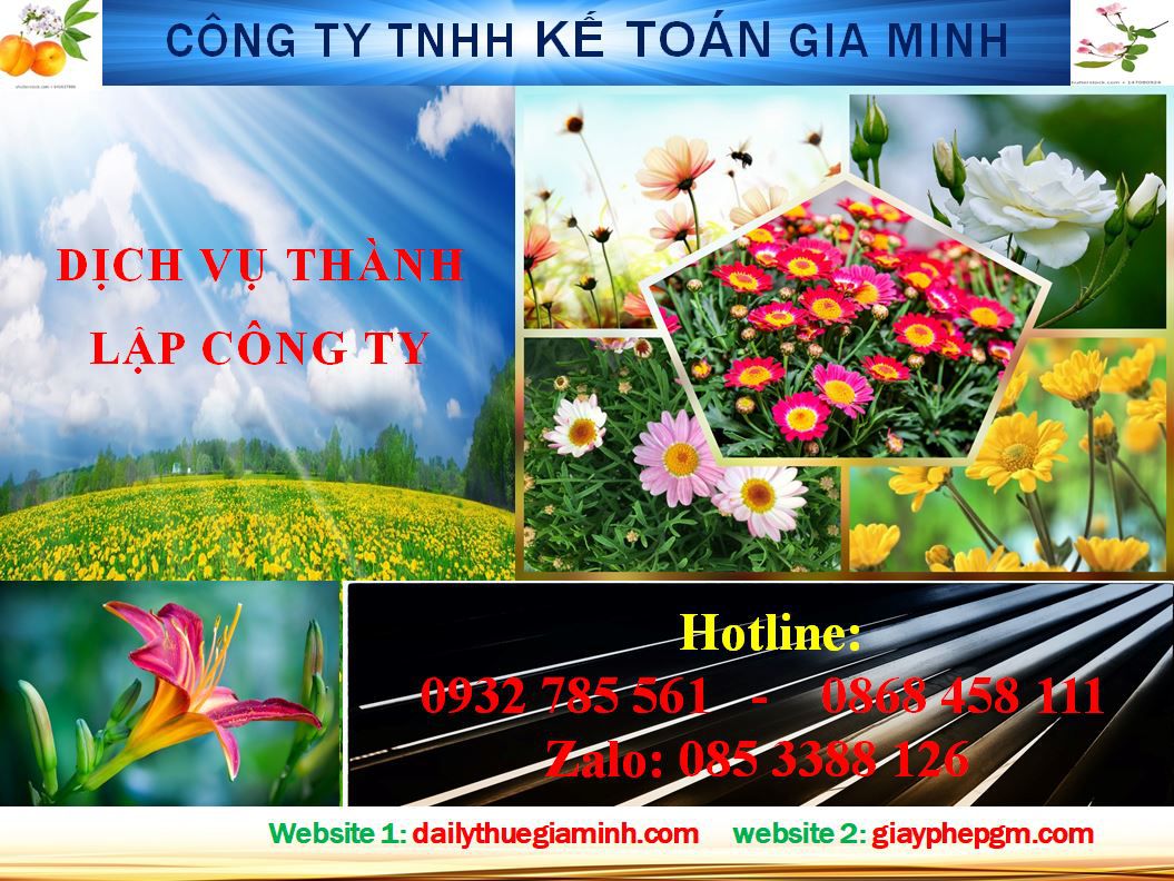 Dịch vụ thành lập doanh nghiệp trọn gói tại Hải Phòng 4 Thủ tục thành lập doanh nghiệp trọn gói tại Hải Phòng