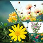 Dịch vụ thành lập doanh nghiệp trọn gói tại Hòa Bình 6 Cần thành lập doanh nghiệp trọn gói tại Hòa Bình