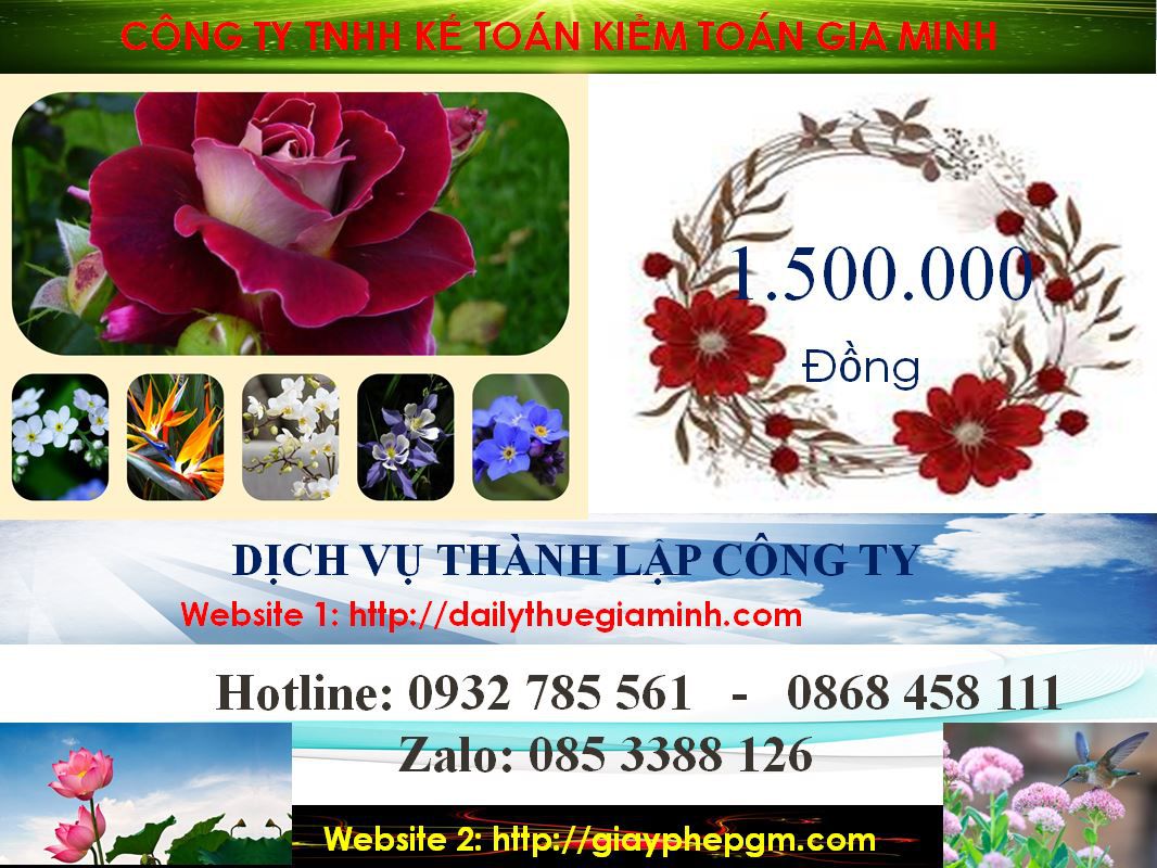 Dịch vụ thành lập doanh nghiệp trọn gói tại Huyện Bình Chánh 5 Chi phí thành lập doanh nghiệp trọn gói tại Huyện Bình Chánh