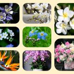 Dịch vụ thành lập doanh nghiệp trọn gói tại Huyện Bình Chánh 6 Cần thành lập doanh nghiệp trọn gói tại Huyện Bình Chánh
