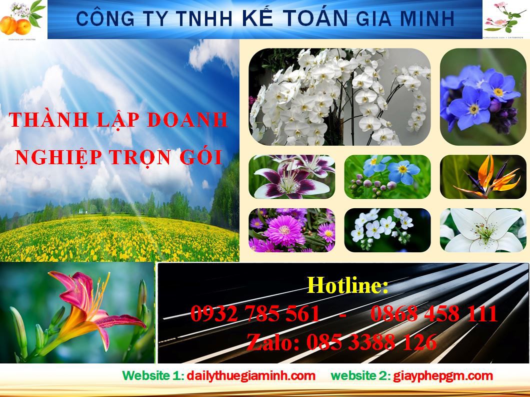 Dịch vụ thành lập doanh nghiệp trọn gói tại Huyện Bình Chánh 4 Thủ tục thành lập doanh nghiệp trọn gói tại Huyện Bình Chánh