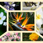 Dịch vụ thành lập doanh nghiệp trọn gói tại Huyện Củ Chi 6 Cần thành lập doanh nghiệp trọn gói tại Huyện Củ Chi